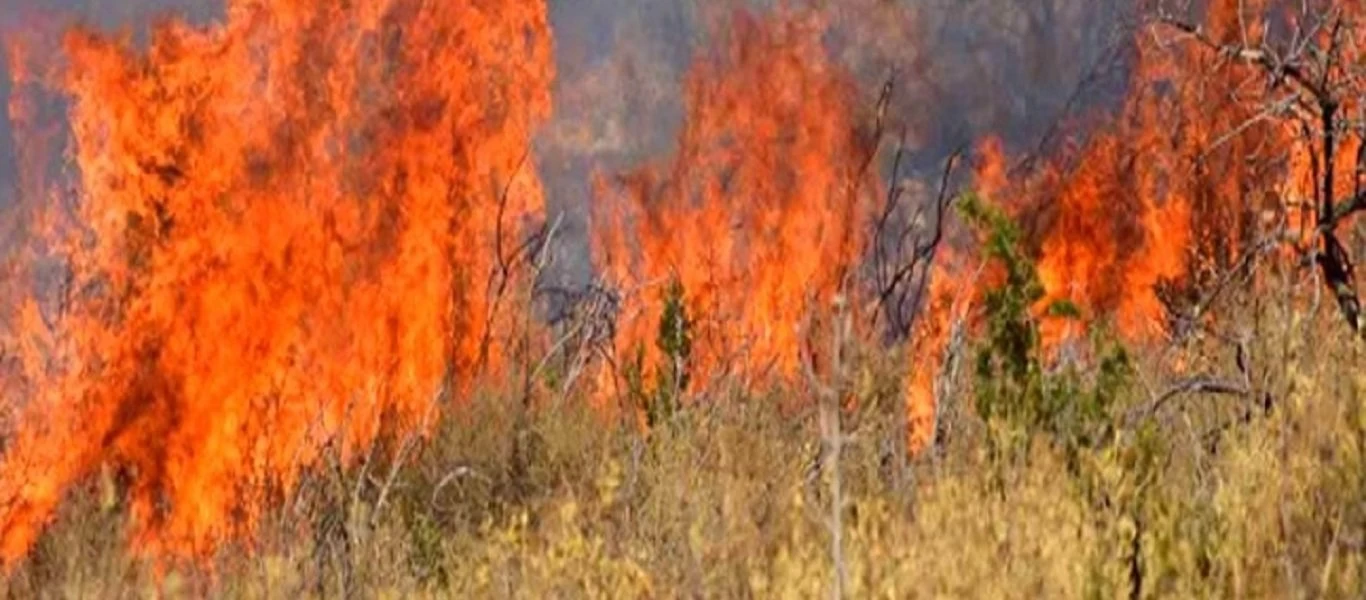 Φωτιά στα Μέθανα Τροιζηνίας - Πνέουν ισχυροί άνεμοι